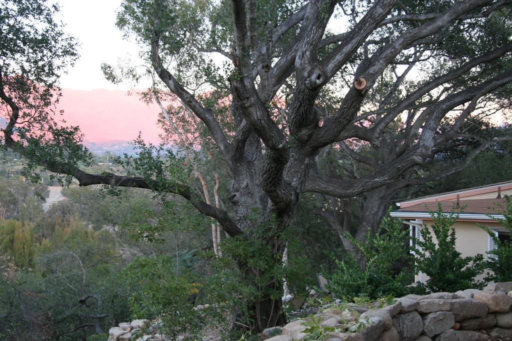 Ojai Retreat & Inn Zewnętrze zdjęcie